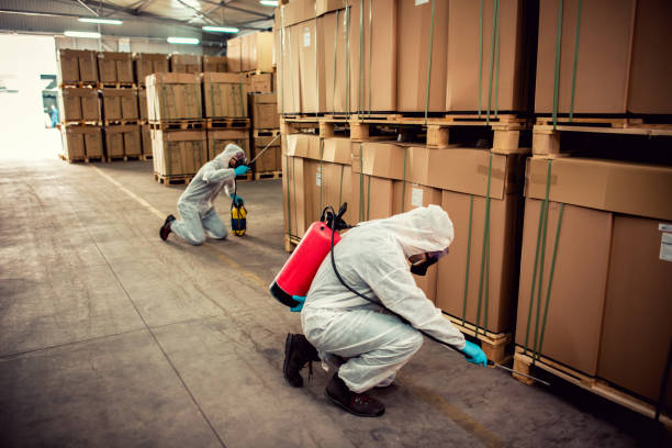 Best Bed Bug Extermination  in England, AR
