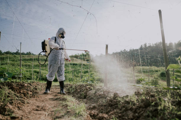 Best Best Pest Control Companies  in England, AR